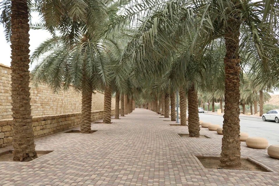 Wadi Hanifa